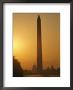 Looking East Towards The Washington Monument, The Capitol, And Smithsonian Institution Building by Brian Gordon Green Limited Edition Pricing Art Print