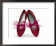 Sparkling Red Shoes by Howard Sokol Limited Edition Print