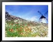 Windmill In Don Quixote Country, Spain by Peter Adams Limited Edition Print