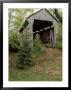 Brannon, Wessner Covered Bridge, Oh by Robert Finken Limited Edition Print