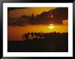 Silhouetted Palm Trees And Sun Behind Clouds At Twilight by Tim Laman Limited Edition Print