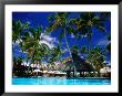 Hotel Pool And Palm Trees, Fiji by Peter Hendrie Limited Edition Print
