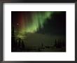 The Aurora Borealis Streaks Down Across The Night Sky by Norbert Rosing Limited Edition Print