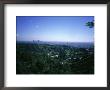View From The Hollywood Hills Sign, California by Mark Segal Limited Edition Pricing Art Print