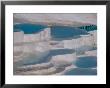 Limestone Hot Springs And Reflection Of Tourists, Cotton Castle, Pamukkale, Turkey by Cindy Miller Hopkins Limited Edition Print