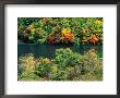 Autumn Foliage On Trees Around Lake, Jiuzhai Gou, China by Keren Su Limited Edition Print