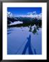 Shadow Of A Cross Country Skier On Snow, Banff, Canada by Philip Smith Limited Edition Print
