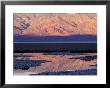 Reflections In Badwater, Death Valley National Park, California, Usa by William Sutton Limited Edition Print