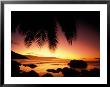 Tropical Sunset On Beauvallon Bay, Seychelles by Nik Wheeler Limited Edition Print