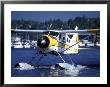 Float Plane Taxiing To Terminal On Lake Union, Washington, Usa by William Sutton Limited Edition Print