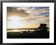 Wreck Of Peter Iredale (1906) On Beach, Fort Stevens State Park, Usa by John Elk Iii Limited Edition Print
