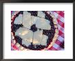 Fresh Baked Huckleberry Pie, Montana, Usa by Chuck Haney Limited Edition Pricing Art Print