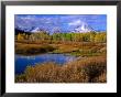 Trees And Lake During Autumn With Mt. Moran In Distance, Grand Teton National Park, Usa by Carol Polich Limited Edition Print