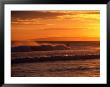 Surfer At St. Kilda Beach, Dunedin, New Zealand by David Wall Limited Edition Print