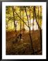 A Woman Pushes A Baby Stroller As She Jogs Through A Wooded Area by Skip Brown Limited Edition Print