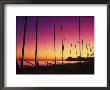 Santa Barbara, Ca, Sailboats On Beach At Sunset by Jim Corwin Limited Edition Pricing Art Print
