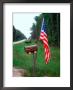 American Flag On Rural Mailbox, North Florida by Pat Canova Limited Edition Print