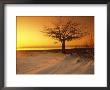Waukegan Beach, Il by Mark Segal Limited Edition Pricing Art Print
