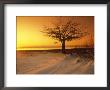 Waukegan Beach, Il by Mark Segal Limited Edition Print