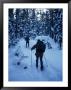 People Cross-Country Skiing, Yellowstone National Park, Wy by Kathy Tarantola Limited Edition Print