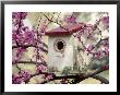 Birdhouse In Blossoming Tree by Chip Henderson Limited Edition Pricing Art Print