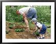 Father And Child Gardening by Kathleen Kliskey-Geraghty Limited Edition Pricing Art Print