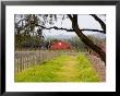 Red Barn Near Vineyards, Napa Valley, California, Usa by Julie Eggers Limited Edition Print