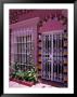Mazatlan Home, Mexico by Michele Burgess Limited Edition Print