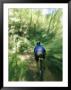 A Mountain Bicyclist Races Down A Forest Trail by Skip Brown Limited Edition Print