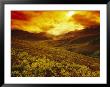 Fiery Sunset Over The Ogilvie Mountains by Paul Nicklen Limited Edition Print