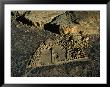 Aerial View Of The Ruins, Chaco Culture National Historical Park, Usa by Jim Wark Limited Edition Print