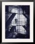 Man In Jail by Therese Frare Limited Edition Pricing Art Print