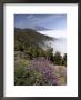 Mount Teide (Pico De Teide), Tenerife, Canary Islands, Spain by Sergio Pitamitz Limited Edition Print