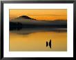 Sunset On Lake Quinault, Olympic National Park, Washington, Usa by Trish Drury Limited Edition Print
