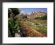 Sunken Gardens, Hampton Court Palace, Greater London, England, United Kingdom by Walter Rawlings Limited Edition Print