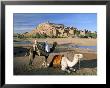 Camels By Riverbank With Kasbah Ait Benhaddou, Unesco World Heritage Site, In Background, Morocco by Lee Frost Limited Edition Print