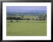 View From Rock Of Cashel, Plain Of Tipperary, County Tipperary, Eire (Ireland) by Bruno Barbier Limited Edition Print