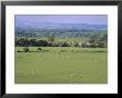 View From Rock Of Cashel, Plain Of Tipperary, County Tipperary, Eire (Ireland) by Bruno Barbier Limited Edition Pricing Art Print