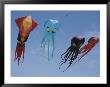 Octopus And Squid-Shaped Kites Fly Above Berkeley Marina Park by Stephen Sharnoff Limited Edition Print