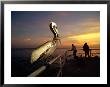 A Brown Pelican Sits On The Pier Railing At Sunset, While People Fish In The Background by Scott Sroka Limited Edition Print