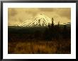 Ngauruhoe Volcano On Edge Of Tongariro Massif, Tongariro Nat. Park, Manawatu-Wanganui, New Zealand by Jon Davison Limited Edition Print