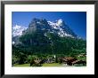 Town And Mountains, Grindelwald, Alps, Switzerland by Steve Vidler Limited Edition Print