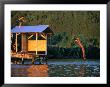 Children Of Teaupoo Diving From Rooftop Into Lagoon, Tahiti, The French Polynesia by Paul Kennedy Limited Edition Print