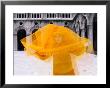 Carnevale Costume In Palazzo Ducale, Venice, Veneto, Italy by Roberto Gerometta Limited Edition Print