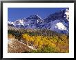 Fall Colors On Aspen Trees, Maroon Bells, Snowmass Wilderness, Colorado, Usa by Gavriel Jecan Limited Edition Print
