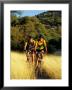 A Couple Of Mountain Bikers Ride Along The Dirt Path by Barry Tessman Limited Edition Pricing Art Print