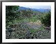 Maya, Copan, Honduras by Kenneth Garrett Limited Edition Print