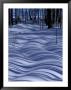 Tree Shadows On Snowy Two Track, Deerton, Michigan, Usa by Claudia Adams Limited Edition Print