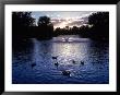 Fountain & Ducks In Water At Sunset by Howard Sokol Limited Edition Print