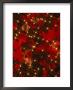Christmas Decorations by Ewing Galloway Limited Edition Print